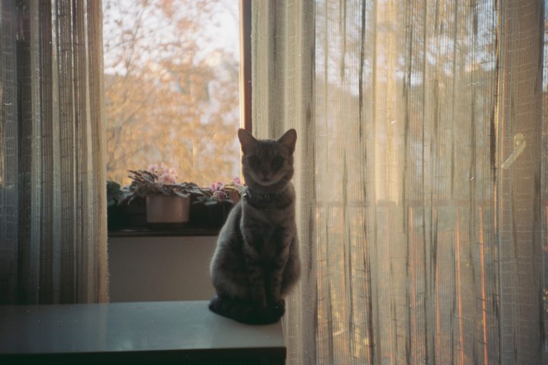 Autumn has come to town.